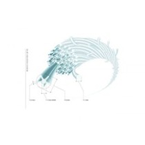 hover-image