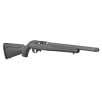 Ruger 10/22 - Takedown