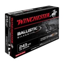 Náboj Winchester .243 WIN. BALLISTIC SILVERTIP