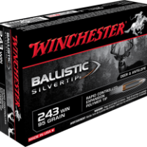 Náboj Winchester .243 WIN. BALLISTIC SILVERTIP
