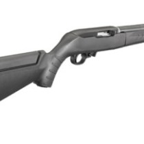 Ruger 10/22 TD Lite (Takedown)