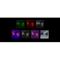 Termovizní monokulár NOCPIX LUMI L19