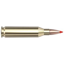Náboj kulový Hornady, American WhiteTail Tipped, .243 Win., 95GR (6,16g), SST